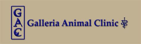 galleria animal clinic